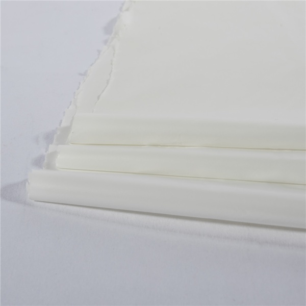 Biobased TPU film XG1285-12