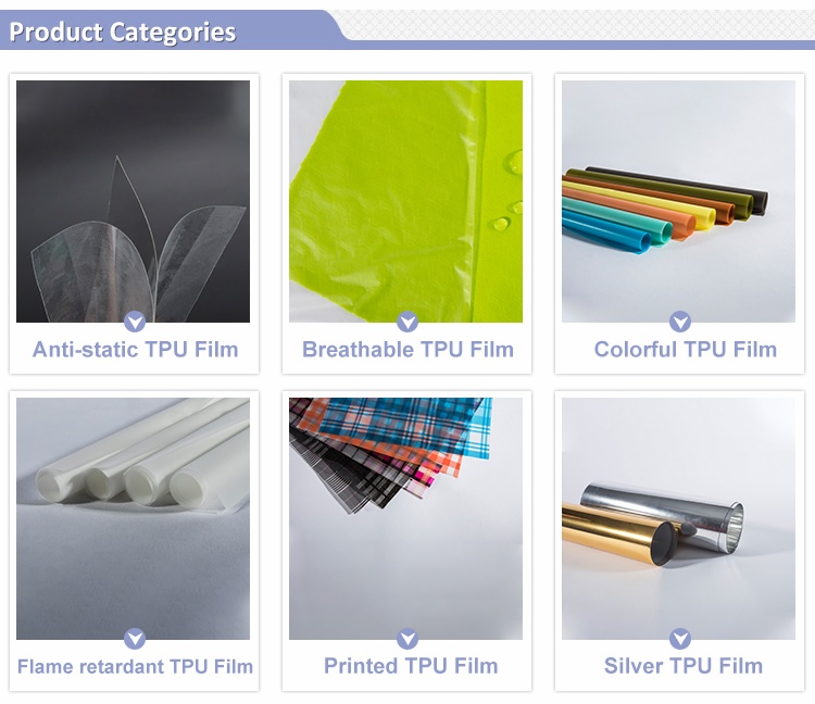 tpu film.banner--.jpg